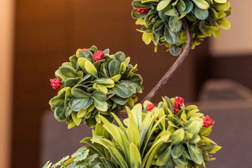 Luxuriöses Studio 8 - foto 9