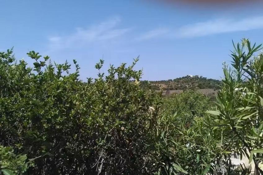 "brigitte" mit Pool - foto 15