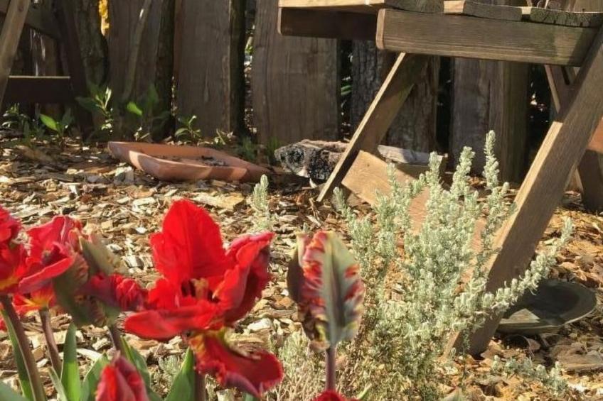 Ruhige Wohnung in Risum mit Garten und Terrasse - foto 20