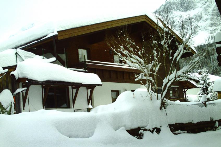 Kirschbaum 1 - foto 8