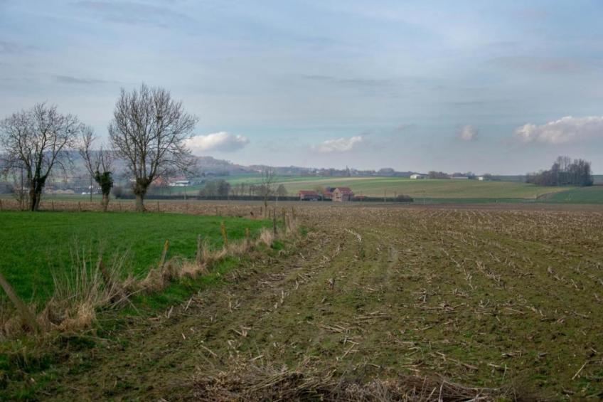 Grande Gite - foto 32