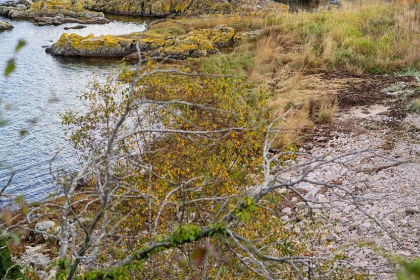 "Caren" - 75m from the sea - foto 5