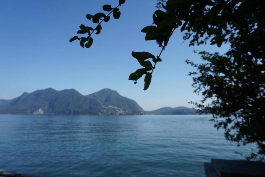 Simonetta Vignone - foto 32