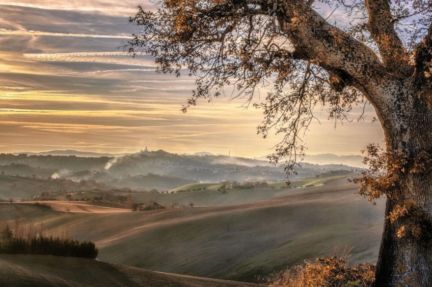 'Casa il Girasole' - foto 21