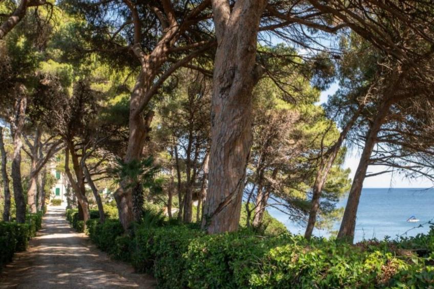 Villaflair - Villa Bensa Cavo - foto 6