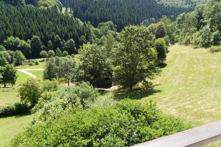 Kurhaus am Nordenau - 10 pers - foto 6