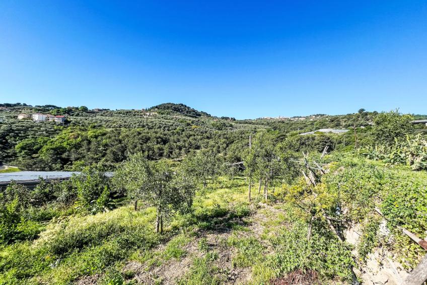 Casa Lulú - foto 76