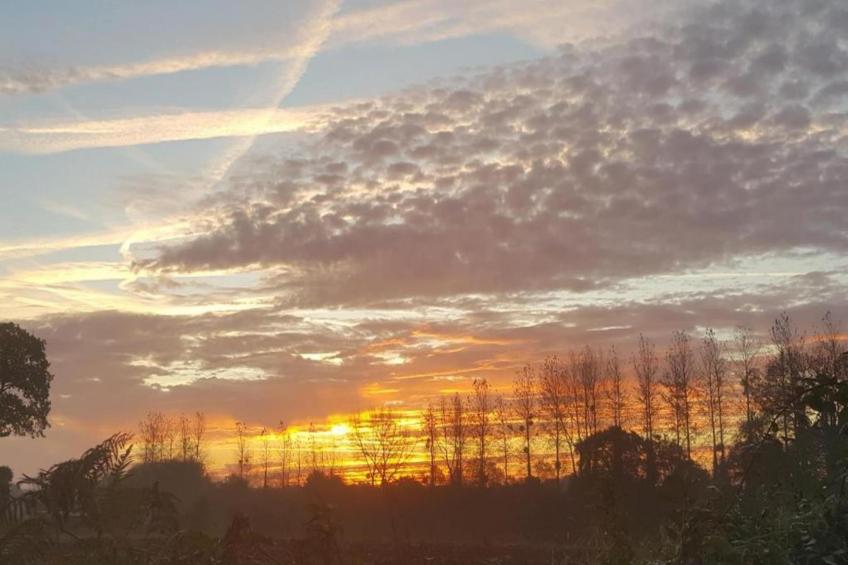 Gîte Saint-Gilles-les-Bois - foto 29