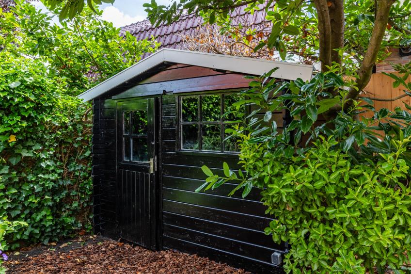 Dorpskaemer - foto 27