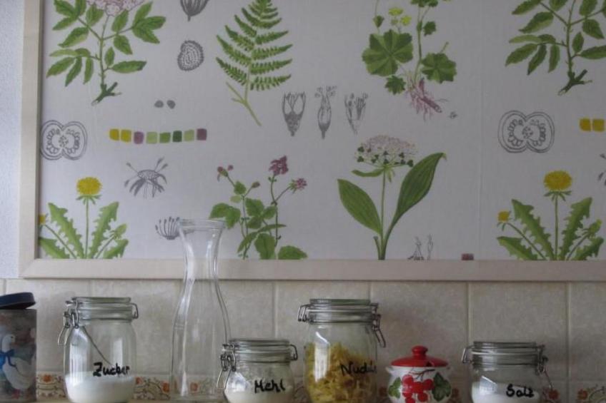 Fewo "Aal Obstbeem" - foto 7