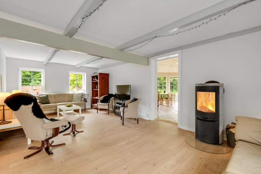 "Wilmar" - 1km to the inlet in Western Jutland - foto 29