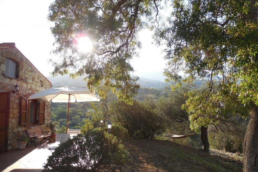 Behagliches Ferienhaus mit Garten inmitten eines - foto 2