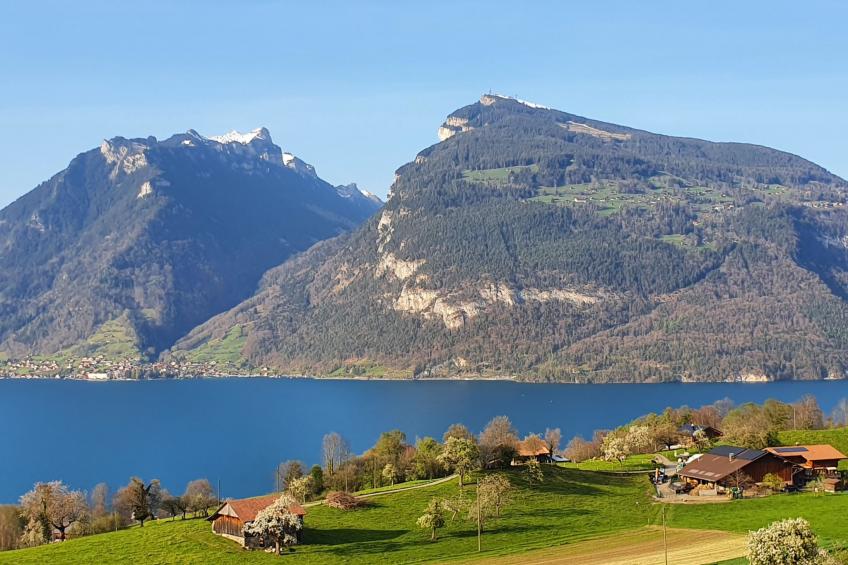 Panoramaferienwohnung Waldkircher Appartement/Fewo