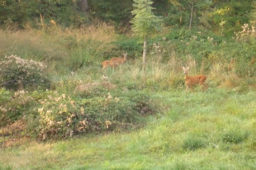 Casa Bella Vista - foto 28