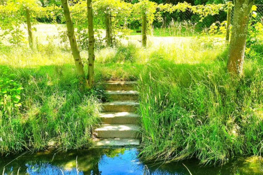 Familienfreundliche Wohnung im schönen Reisenberg - foto 26