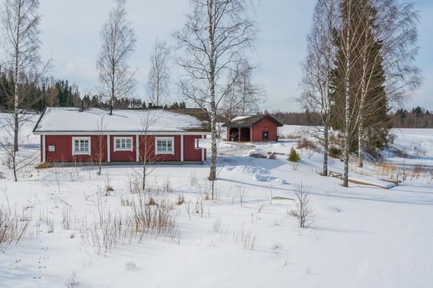 Peltosirkku, seeteri - foto 12