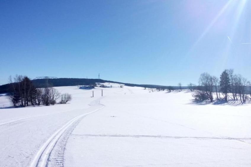 Ferienwohnung Irene - foto 17