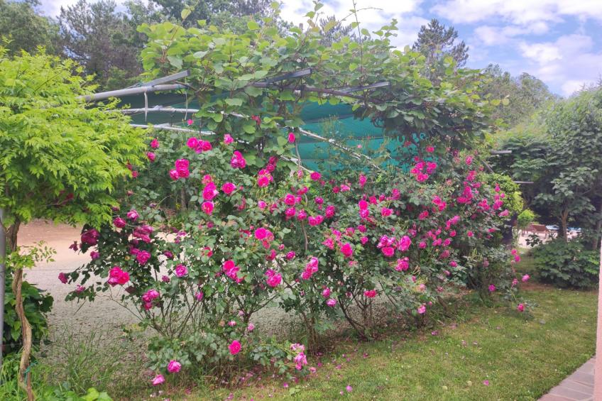 Valmonida mit Pool - foto 8