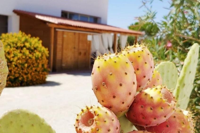 in Marsala mit Terrasse, gemeinschaftlichem Pool und Grill - foto 33