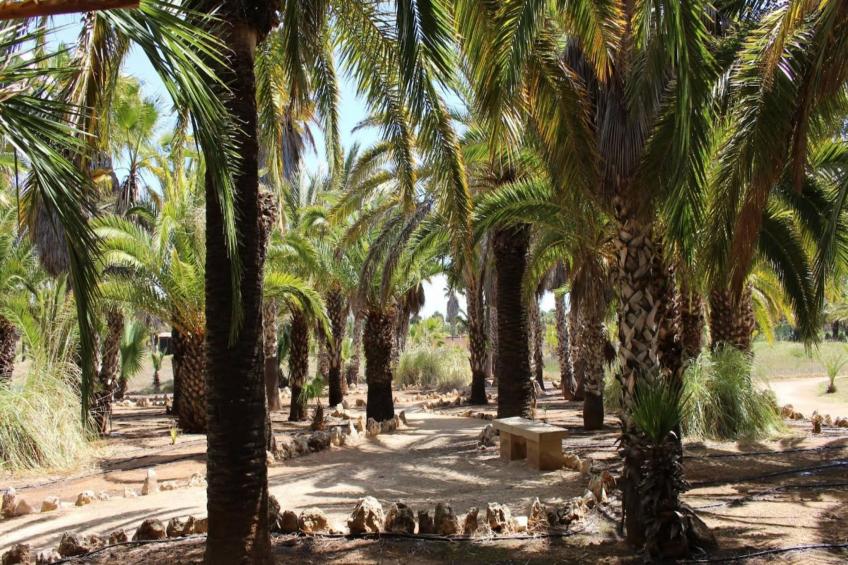 Can Xesquet - foto 5