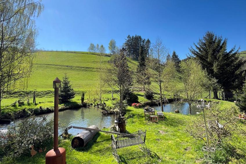 Am Damwildgehege I - foto 39