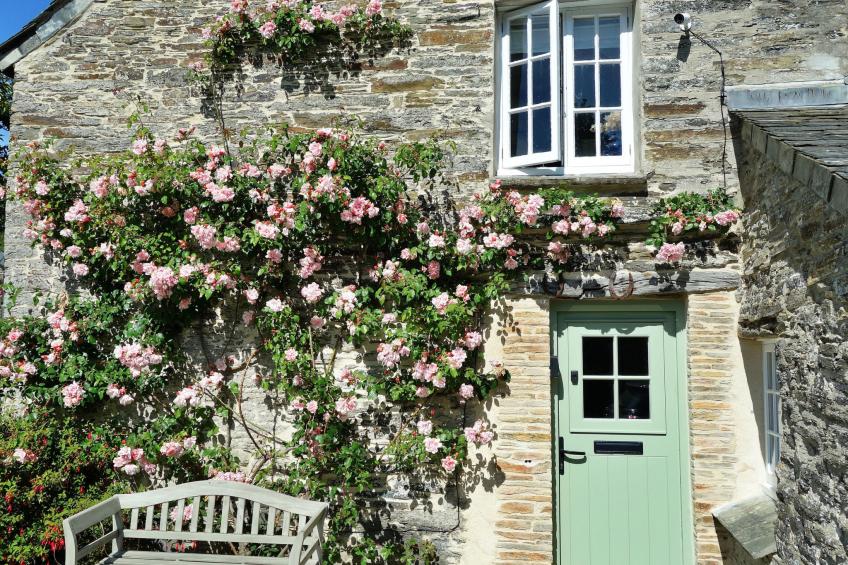 Porthcothan Mill Cottage - foto 20