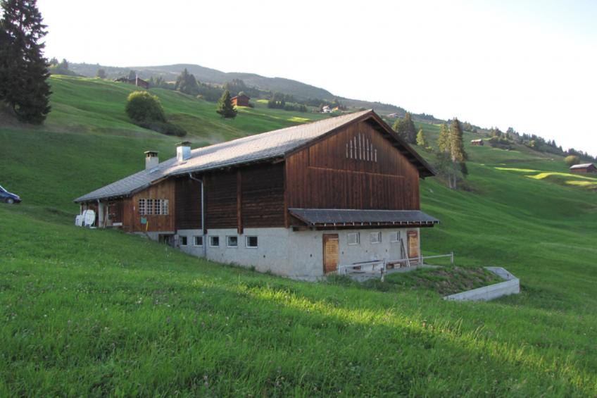 Maiensäss Rüs, (Präz), - foto 11