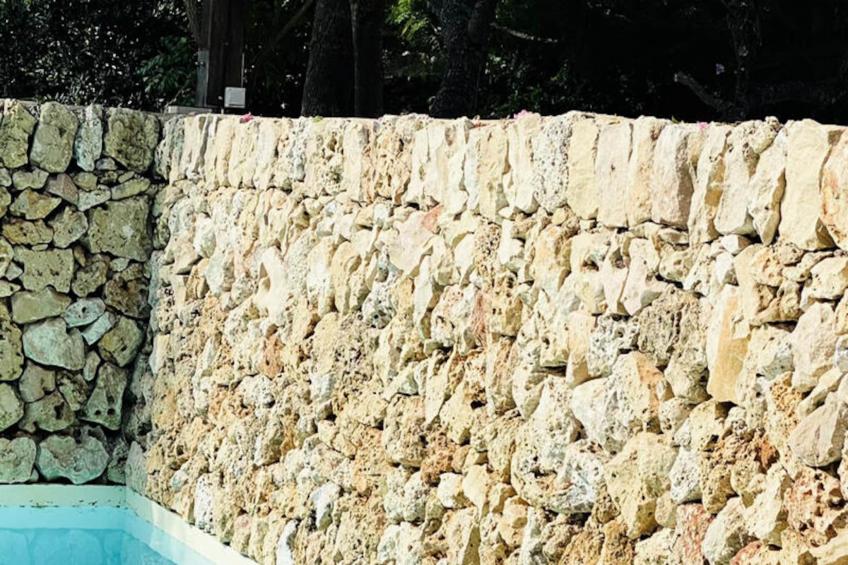 Maison à Sant Climent - foto 16