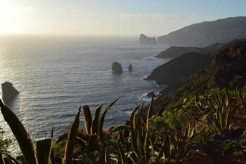 Su Sole de Barega - foto 27