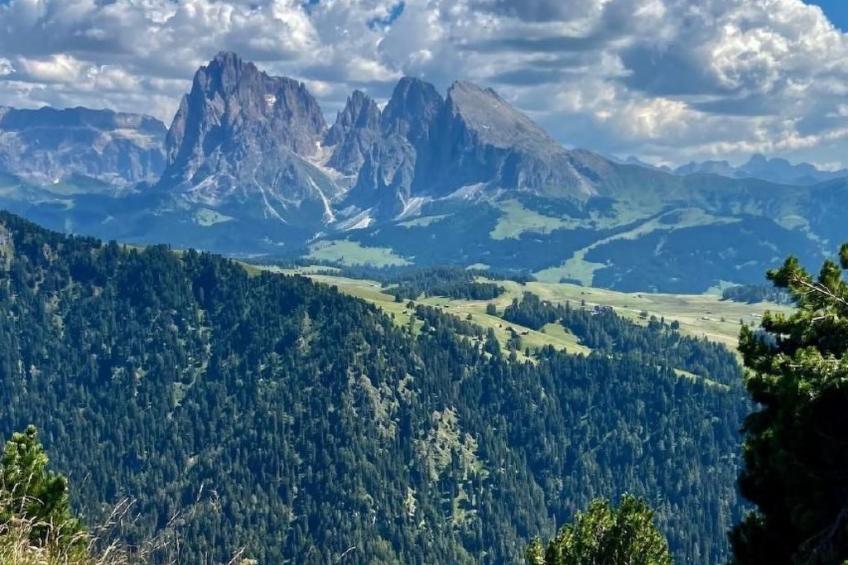 Cesa Vedla DOLOMITES - foto 42