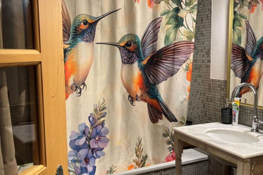 Asas do Beija-Flor - foto 4