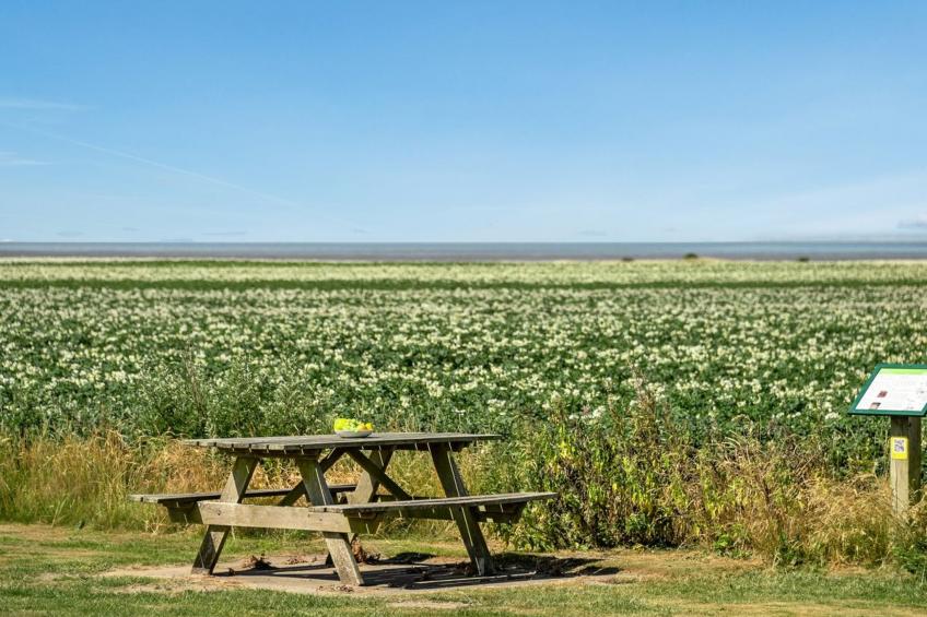 "Ejna" in Western Jutland - foto 11
