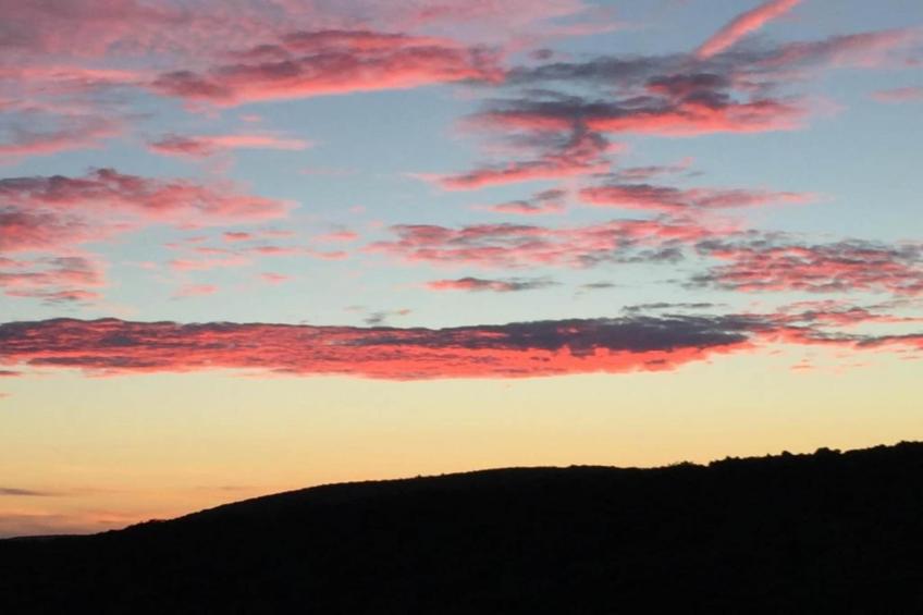 Schwalbennest - foto 21