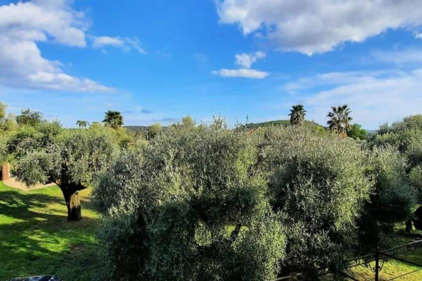 06cb : Jolie Maison De Campagne Pour 8 - foto 4