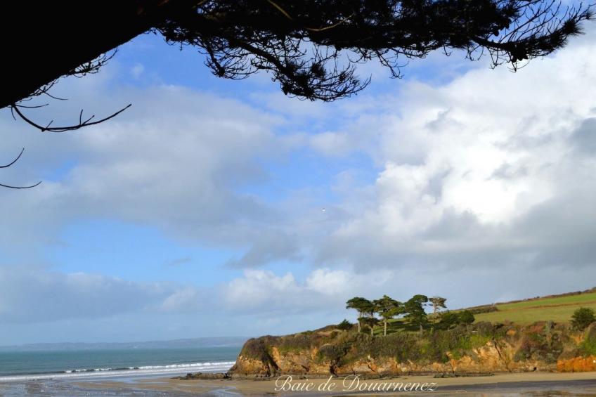 mit eigenem Garten und Grill - foto 31