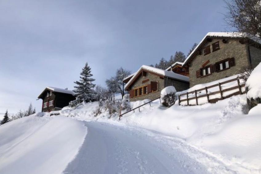 Tiny House facing the Alps - Ski in and out