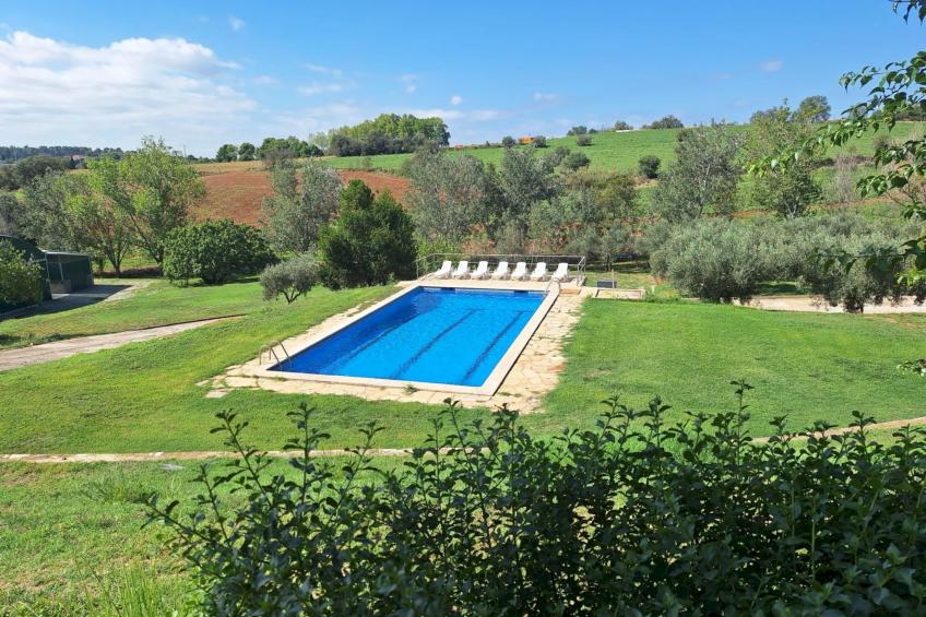 Finca el Olivar - foto 24