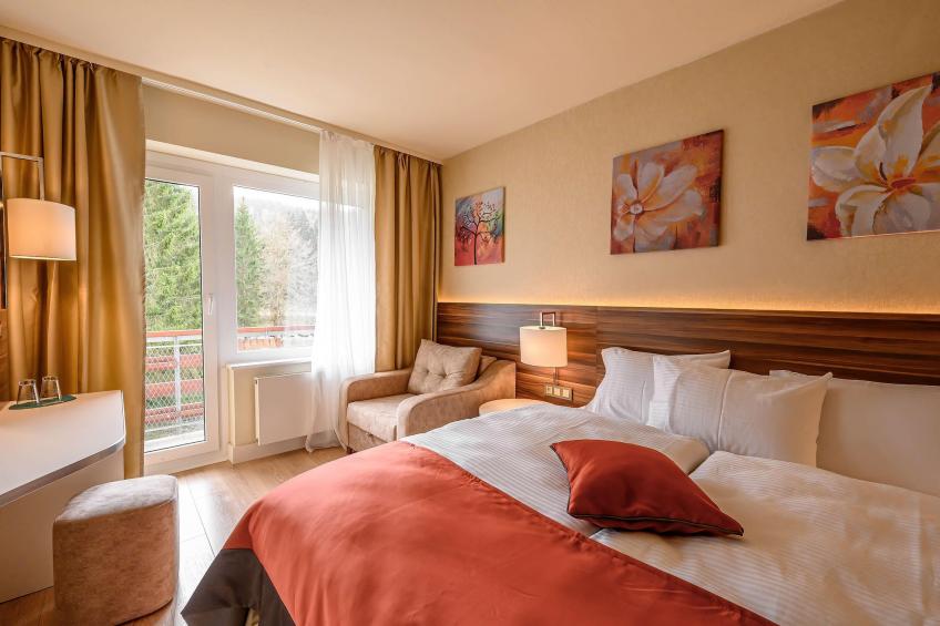 Schwarzbachtal  - Double Room Forest View with Balcony - foto 6