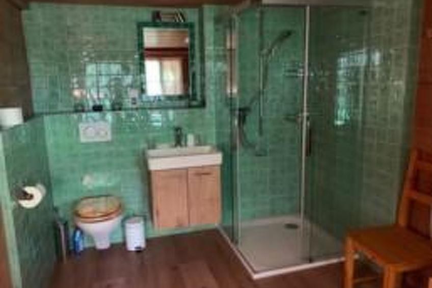 Chalet Rüteli Appartement/Fewo, Dusche, WC, 1 Schlafraum 2-Zimmerwohnung - foto 10