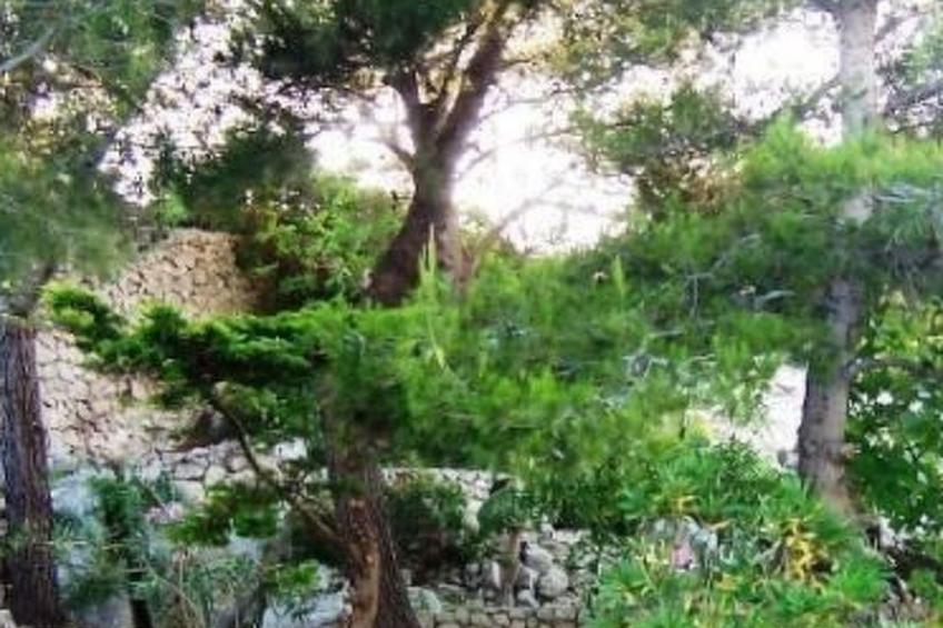 'Villa Rizzo' mit Terrasse - foto 7