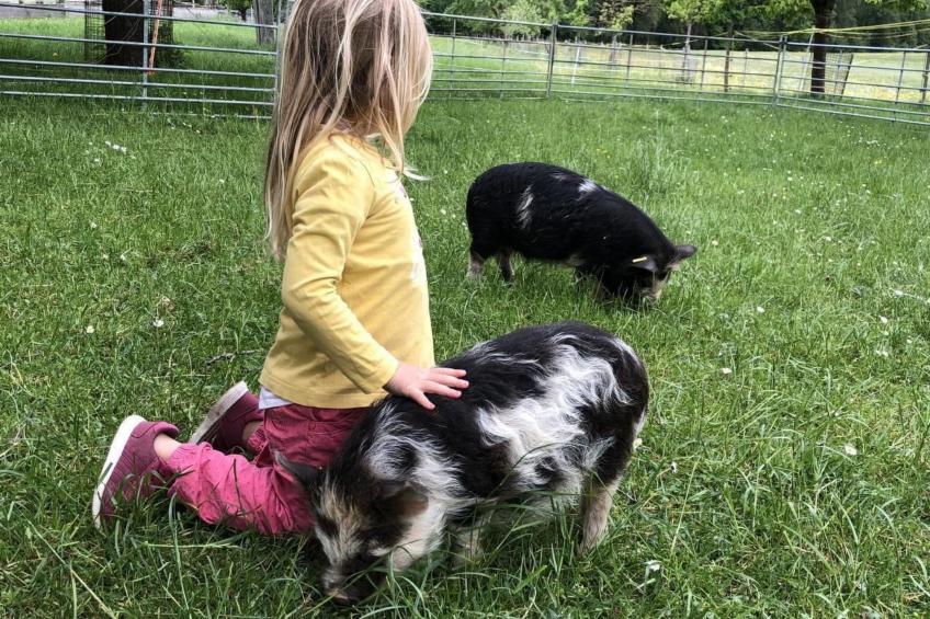 Tieroase Grünegg - foto 13