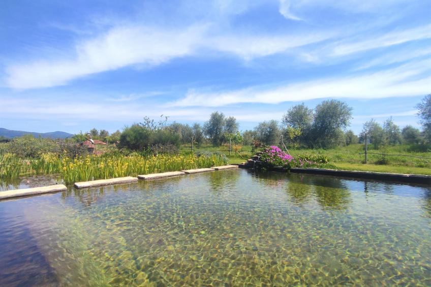 Agriturismo Podere Noé (ROC420) - foto 23