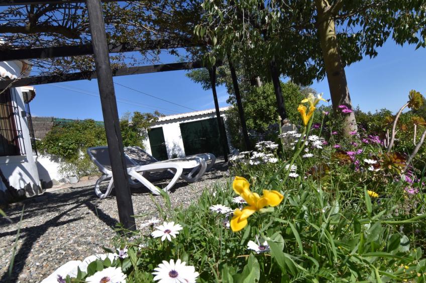 Finca El Corinto - Ein verwunschener Ort - foto 5