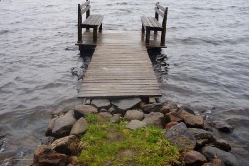 Hevonkuusi - foto 22