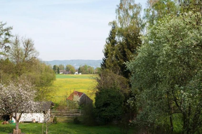 Charmante Wohnung in Holzhausen mit Grill - foto 13