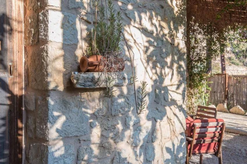 Spiti Papaya - foto 18