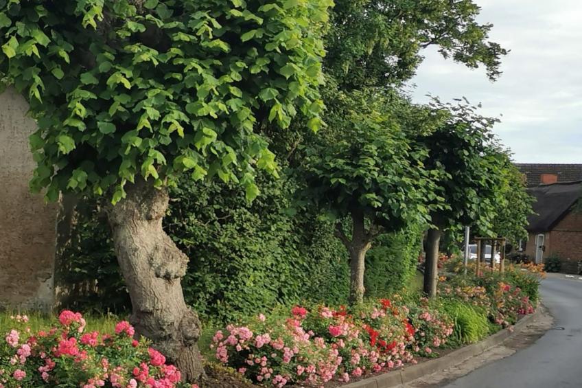 Wohnung für sechs Personen im Dachgeschoss - foto 18