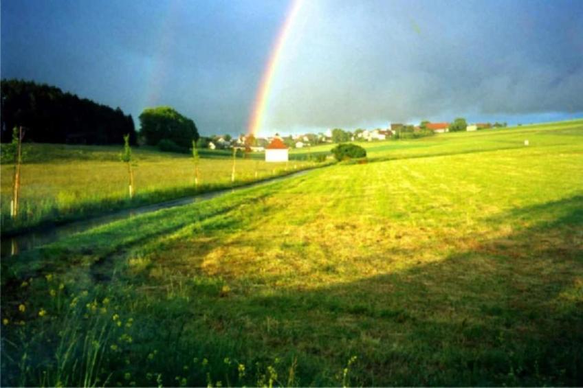 Gütenbach - foto 23