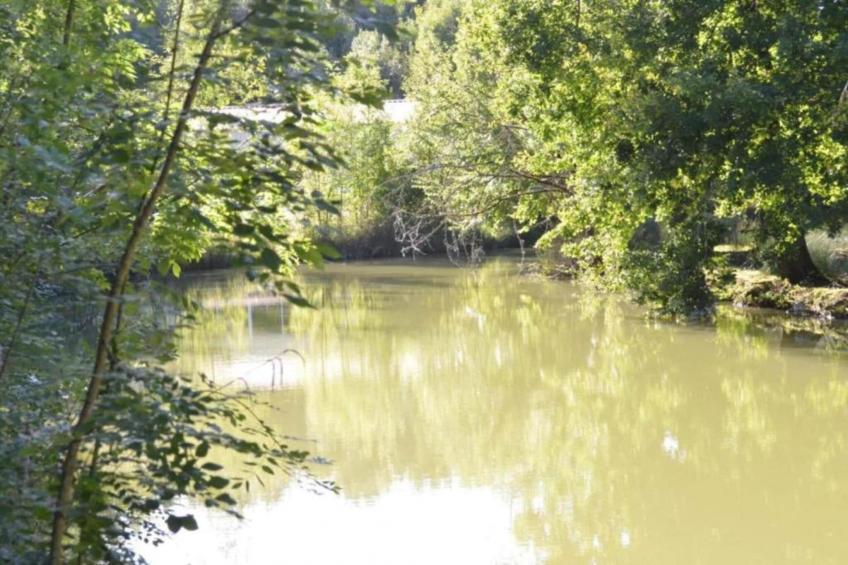 Maison de vacances - VILLEFRANCHE-DU-PERIGORD - foto 38