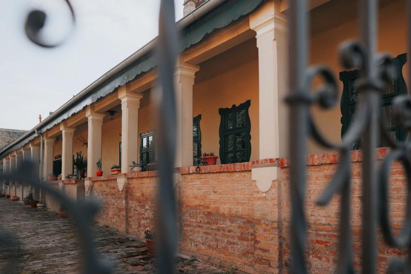 House Biljkinog oca - foto 3